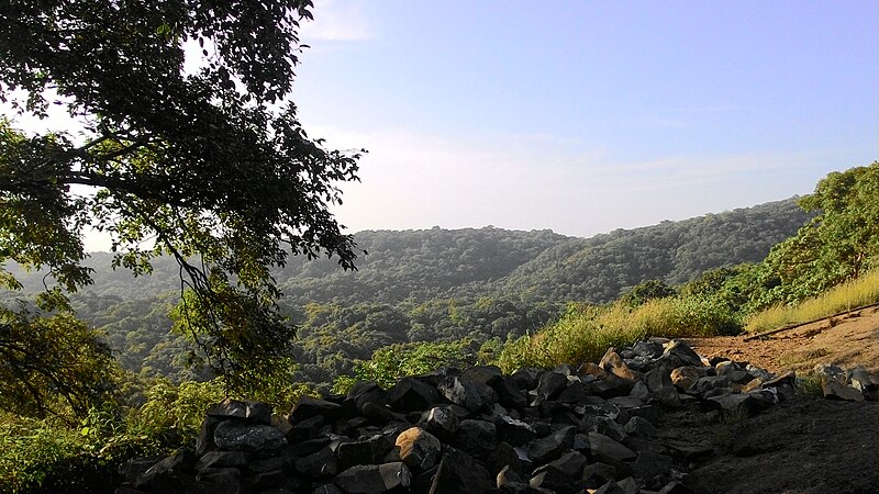 Escorts in Borivali Mumbai - National Park Side